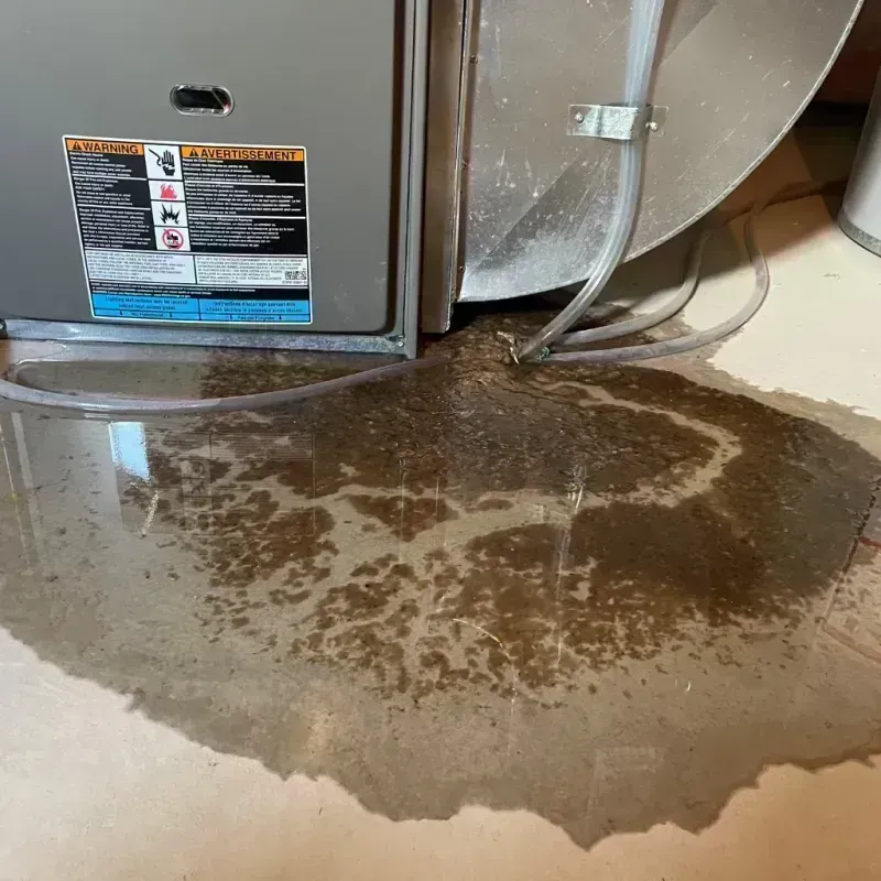 Appliance Leak Cleanup in Larue County, KY